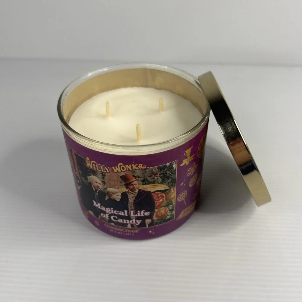 Goose Creek Willy Wonka Magical Life of Candy Candle 3 Wick New Fruity Candy